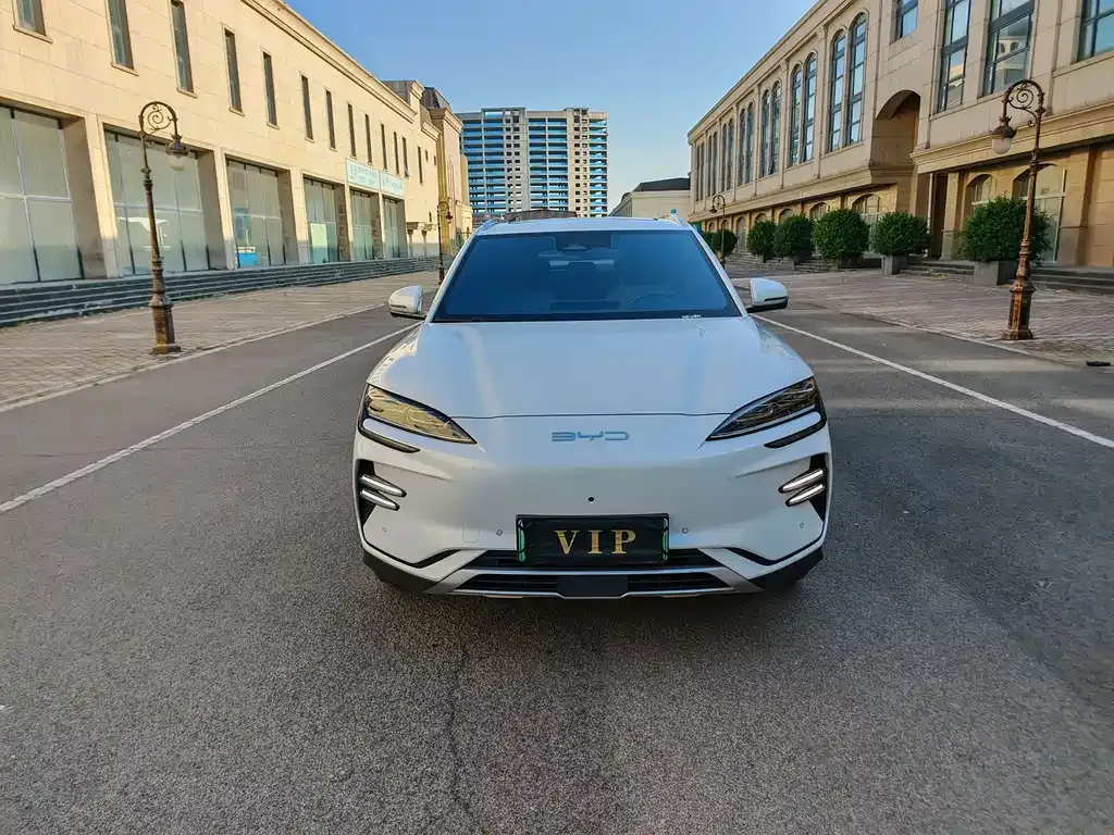 BYD PLUS New Energy 2025 из CN, фото 5