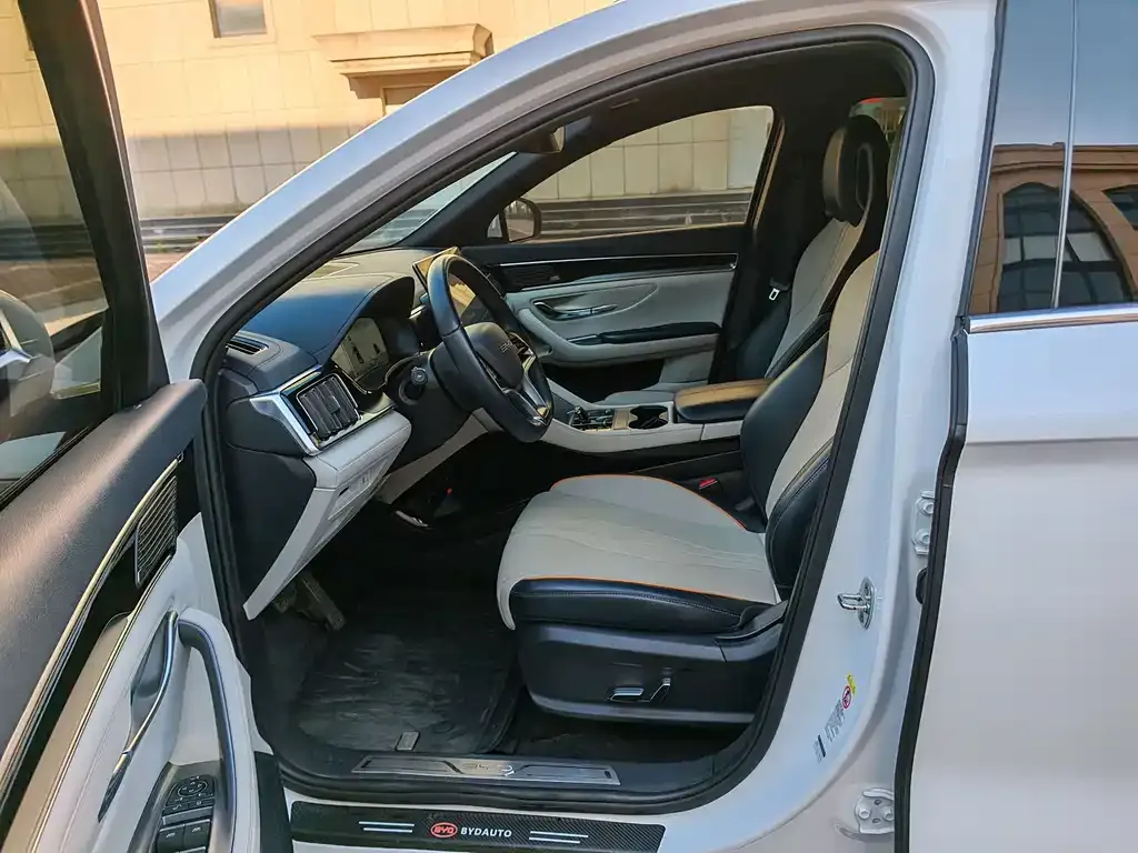 BYD PLUS New Energy 2025 из CN, фото 2