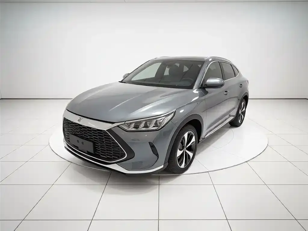 BYD PLUS New Energy 2022 из CN, фото 1