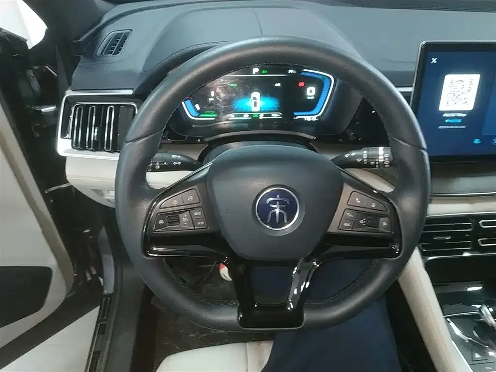 BYD PLUS New Energy 2022 из CN, фото 7