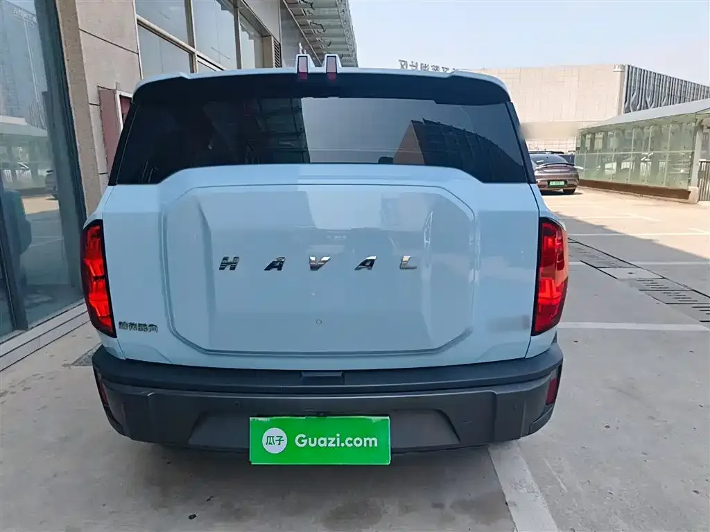 Haval Cool Dog 2022 из CN, фото 3
