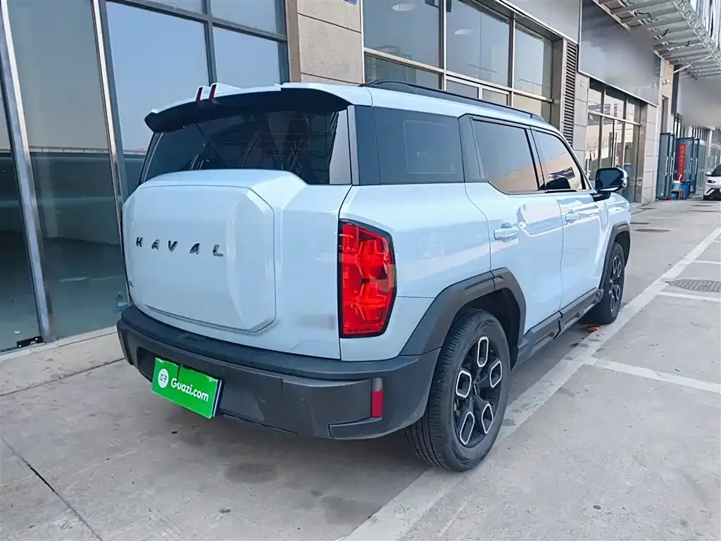 Haval Cool Dog 2022 из CN, фото 5