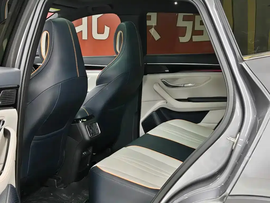 BYD PLUS New Energy — фото 8