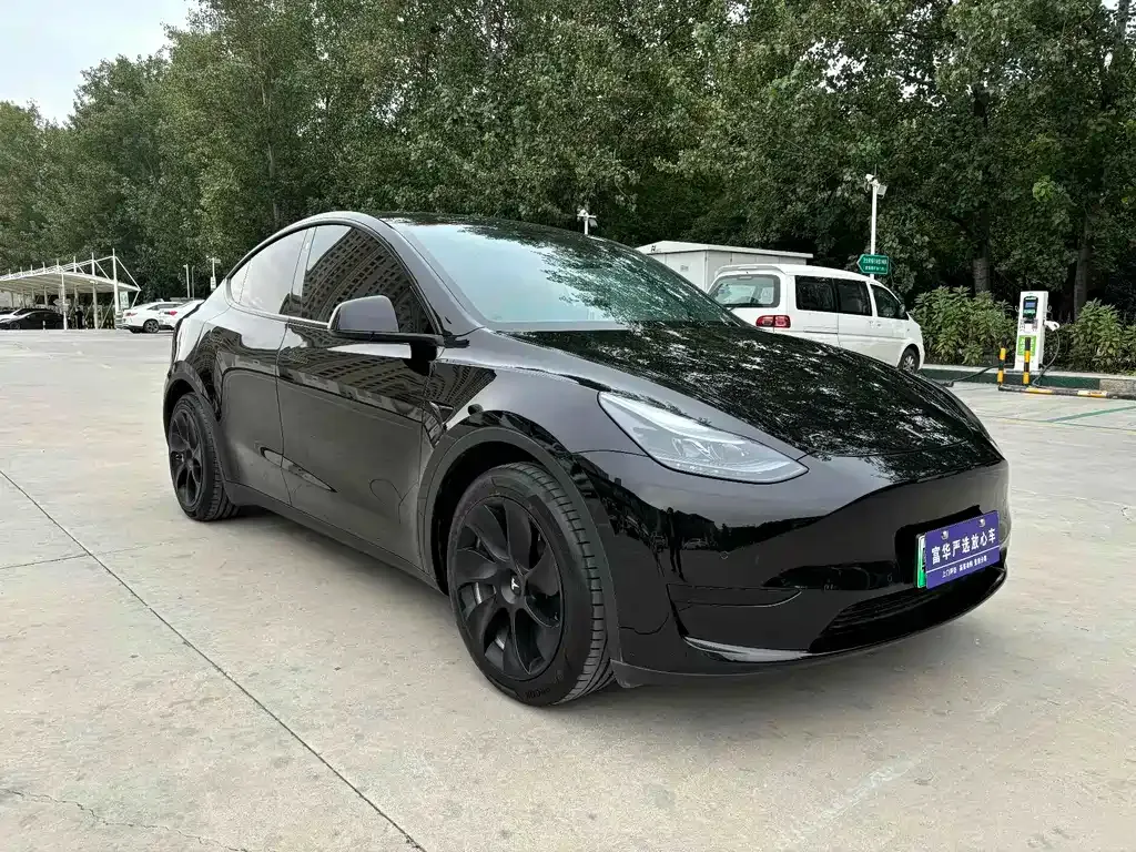 Tesla Model Y 2022 из CN, фото 6