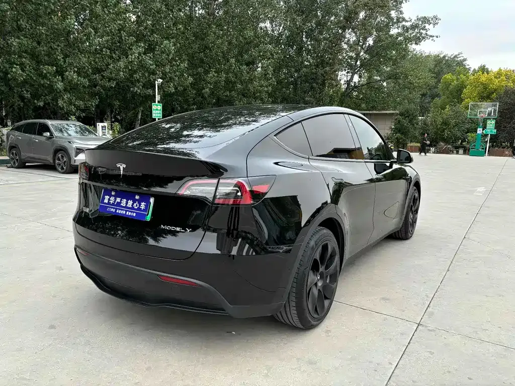 Tesla Model Y 2022 из CN, фото 5