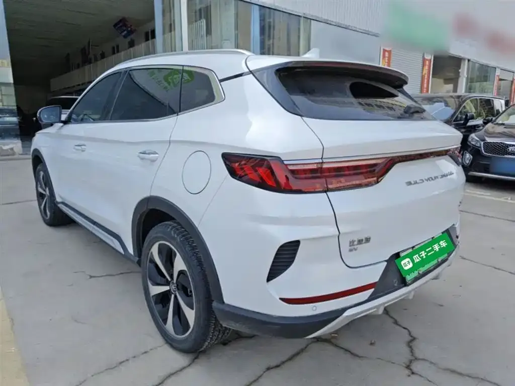 BYD PLUS New Energy 2021 из CN, фото 5
