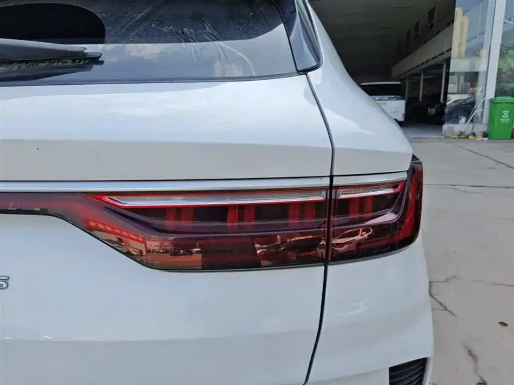 BYD PLUS New Energy 2021 из CN, фото 4