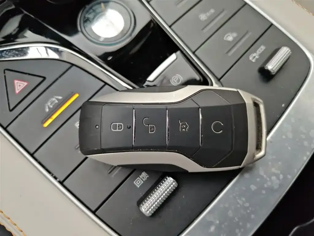 BYD PLUS New Energy 2021 из CN, фото 3