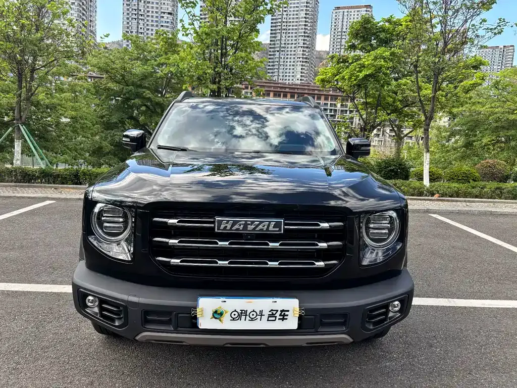 Haval Big Dog — фото 10