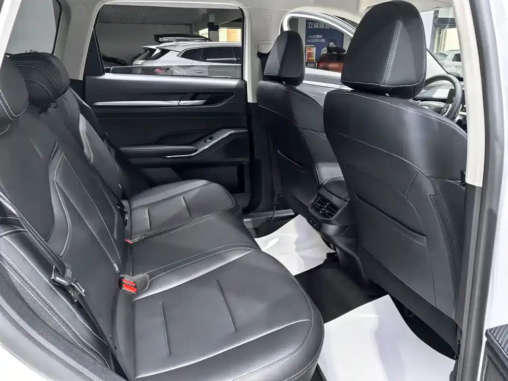 Haval H6 2024 из CN, фото 4