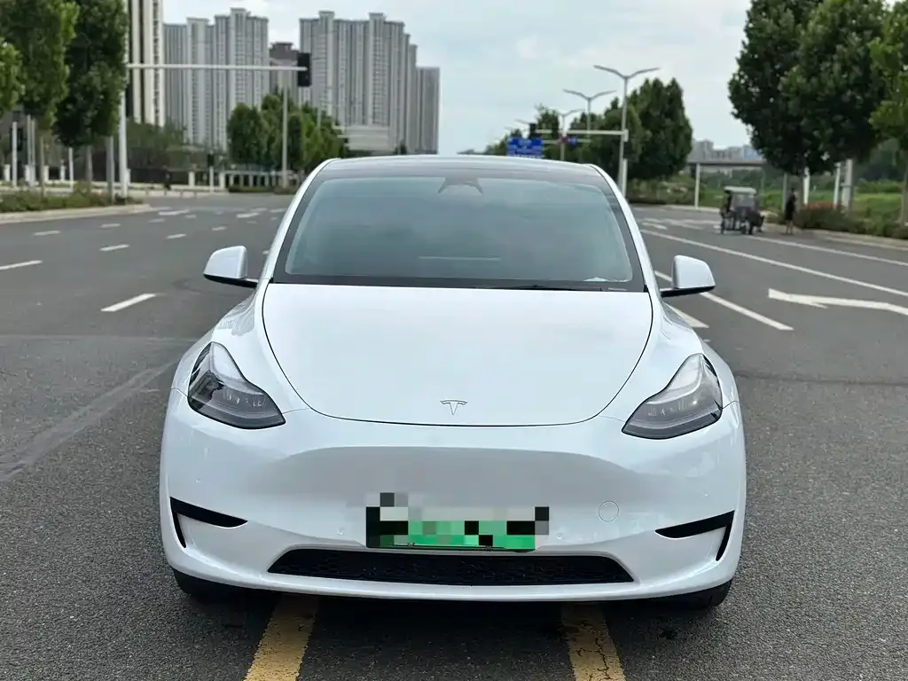 Tesla Model Y — фото 8
