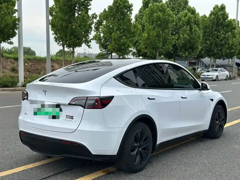Tesla Model Y — фото 3