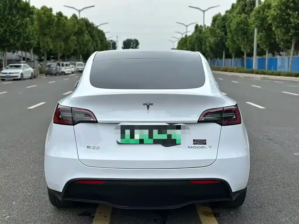 Tesla Model Y — фото 2