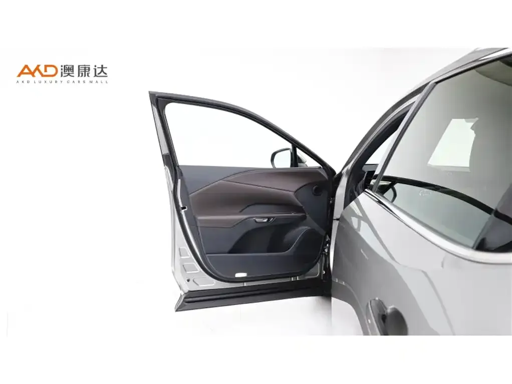 Lexus RX New Energy 2023 из CN, фото 7