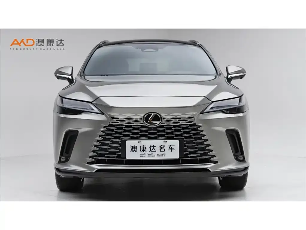 Lexus RX New Energy 2023 из CN, фото 8