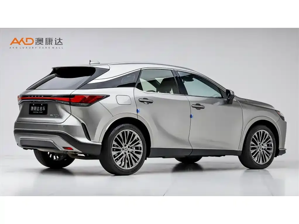 Lexus RX New Energy 2023 из CN, фото 6