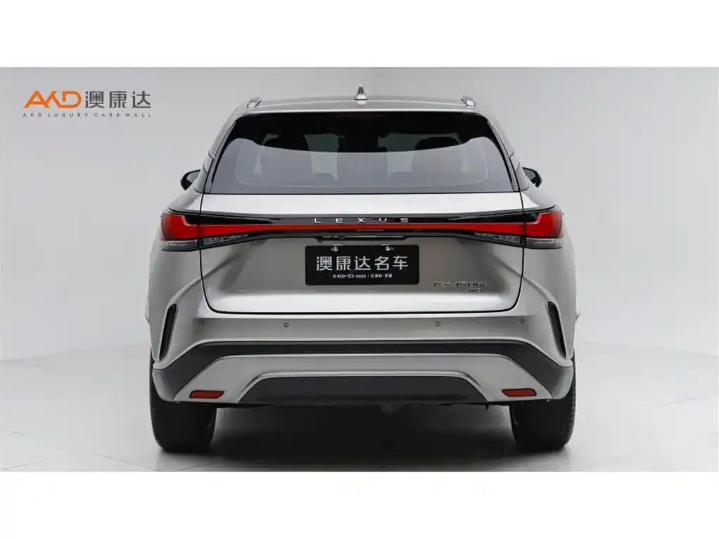 Lexus RX New Energy 2023 из CN, фото 5