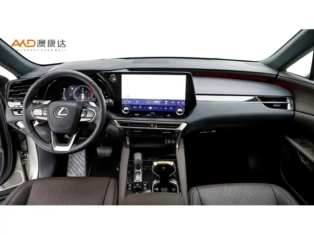 Lexus RX New Energy 2023 из CN, фото 10