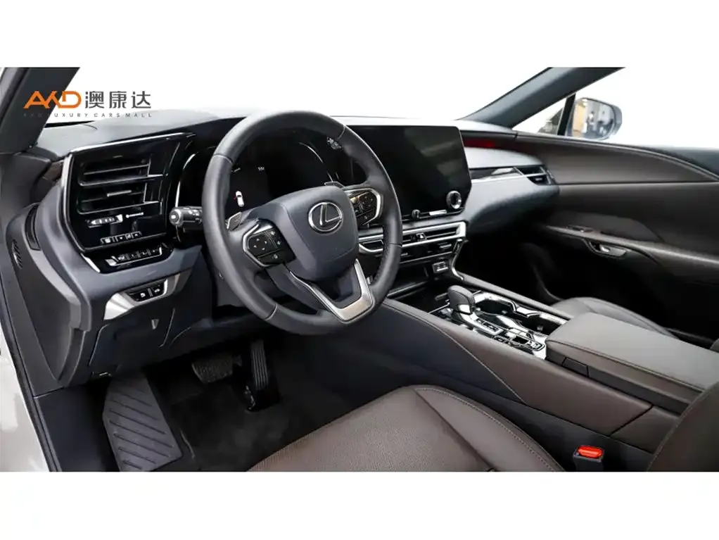 Lexus RX New Energy 2023 из CN, фото 2