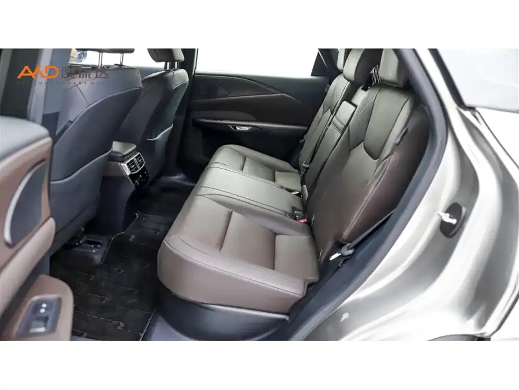 Lexus RX New Energy 2023 из CN, фото 4