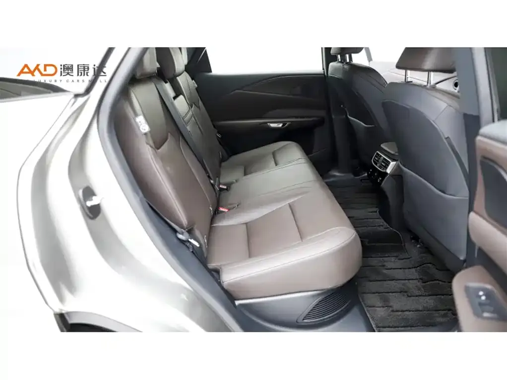 Lexus RX New Energy 2023 из CN, фото 9