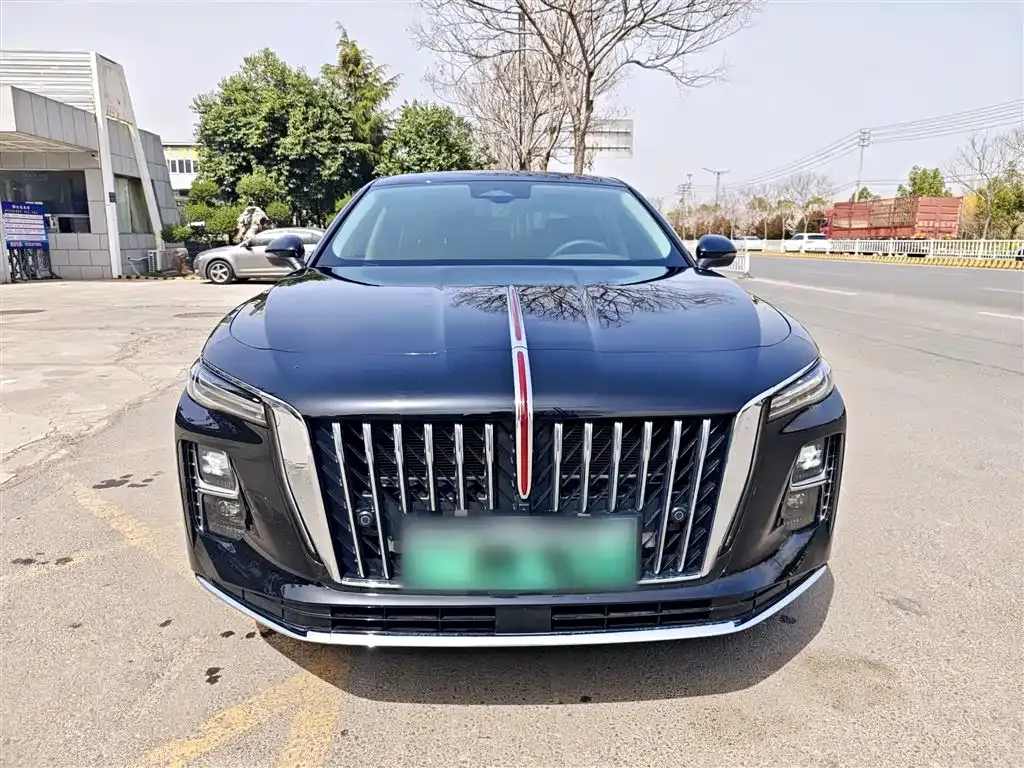 Hongqi H5 PHEV 2025 из CN, фото 8