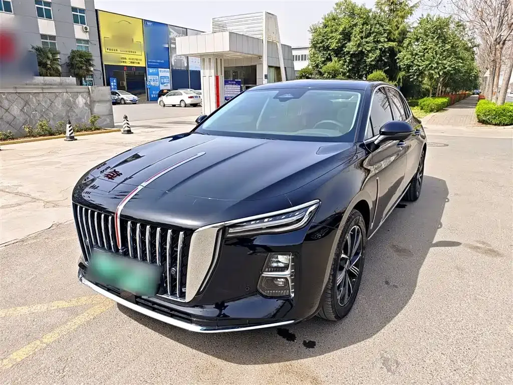 Hongqi H5 PHEV 2025 из CN, фото 10