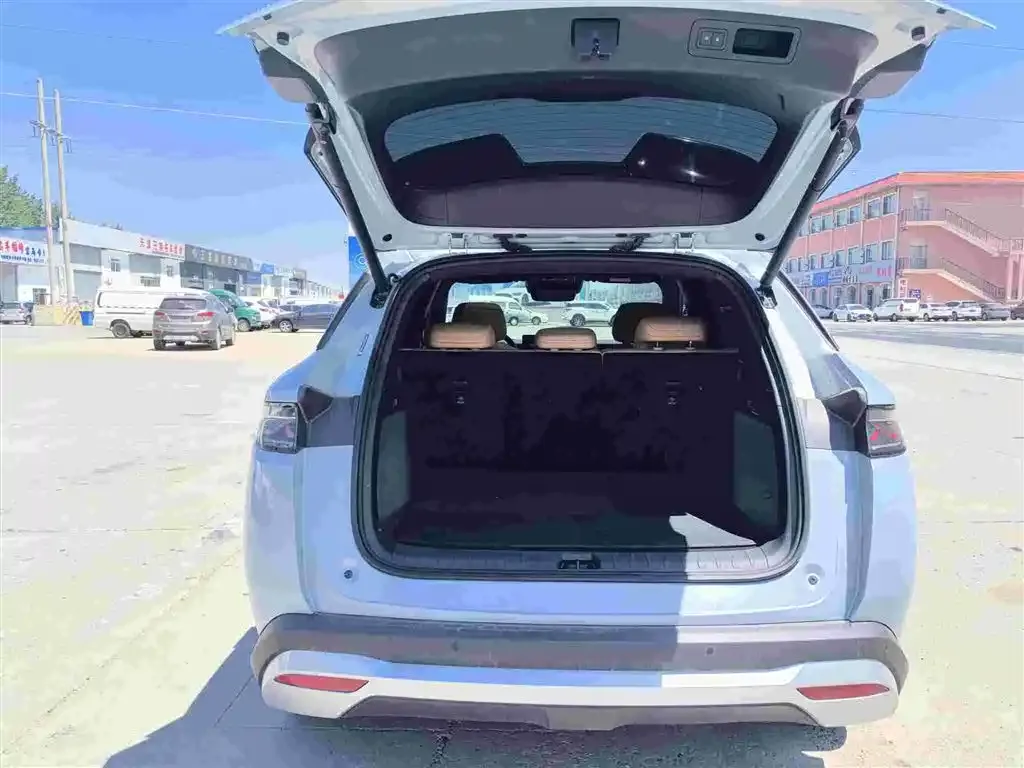 BYD L DM-i 2024 из CN, фото 9