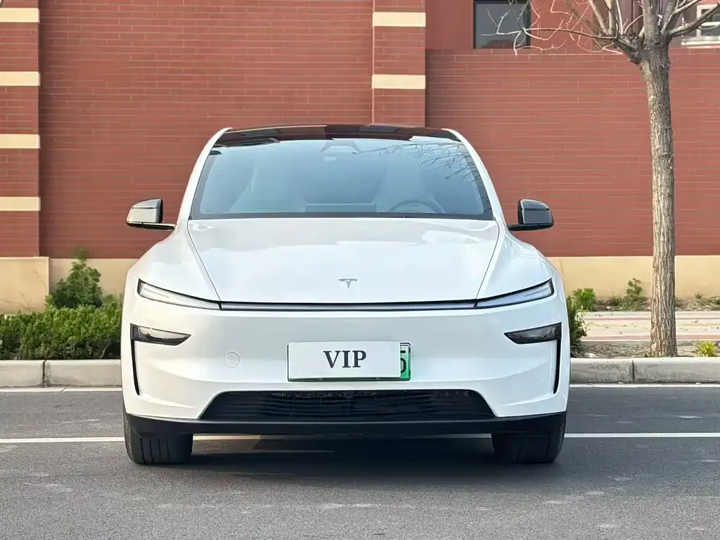 Tesla Model Y L 2025 из CN, фото 5