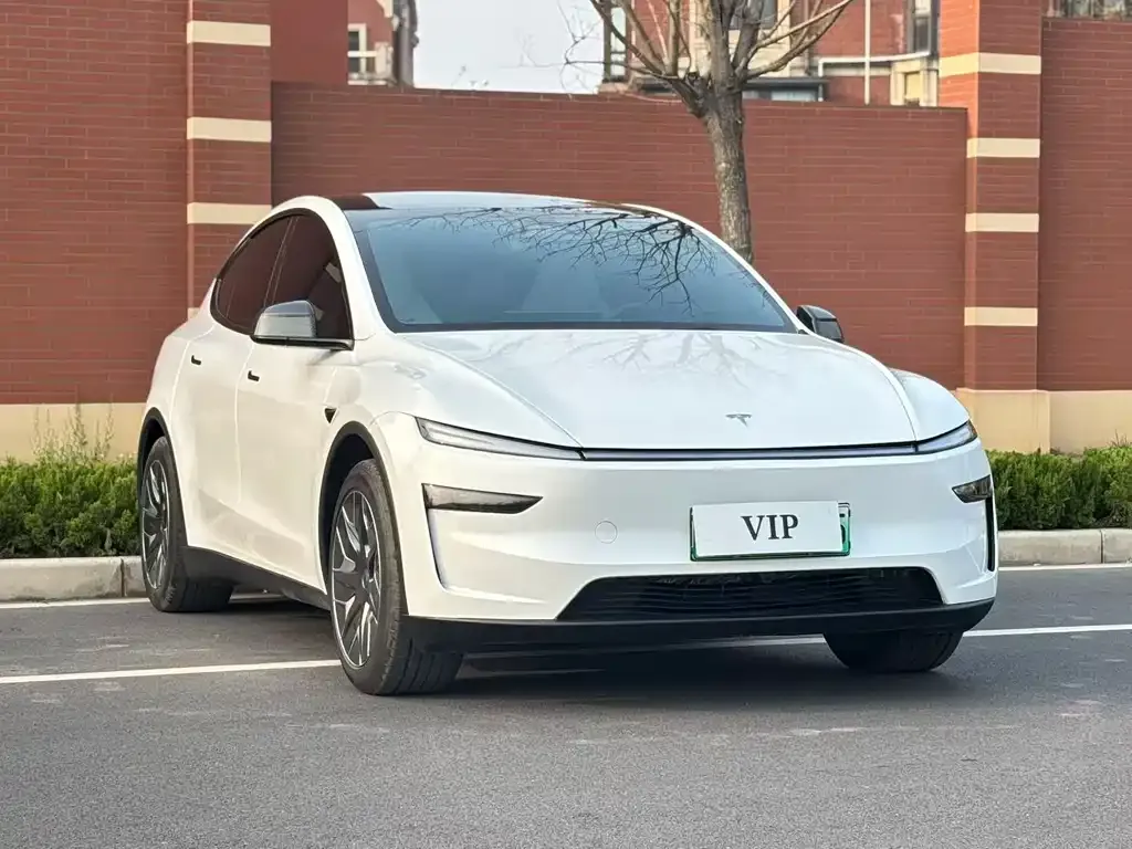Tesla Model Y L 2025 из CN, фото 9