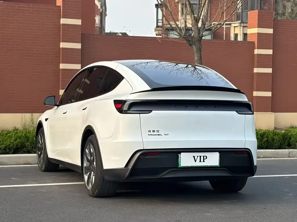 Tesla Model Y L 2025 из CN, фото 7