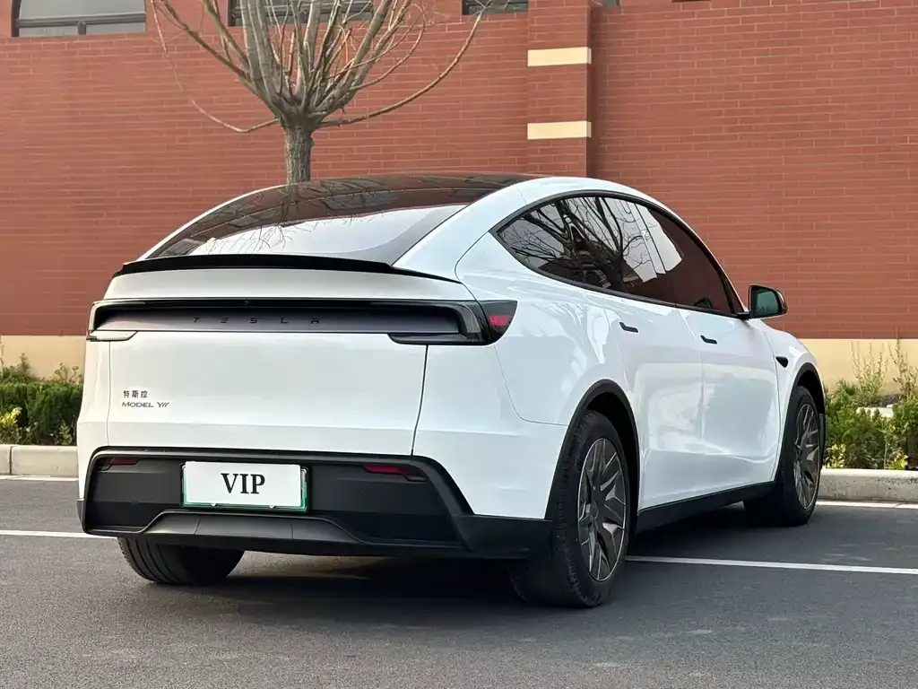 Tesla Model Y L 2025 из CN, фото 6