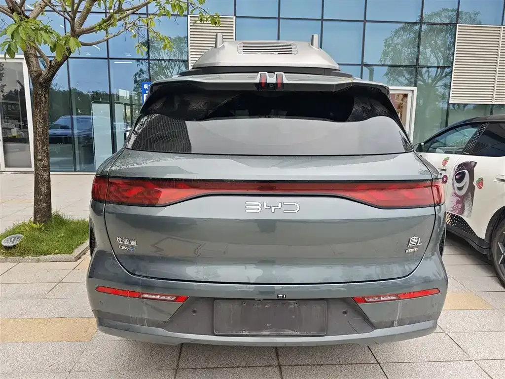 BYD Tang L 2025 из CN, фото 7