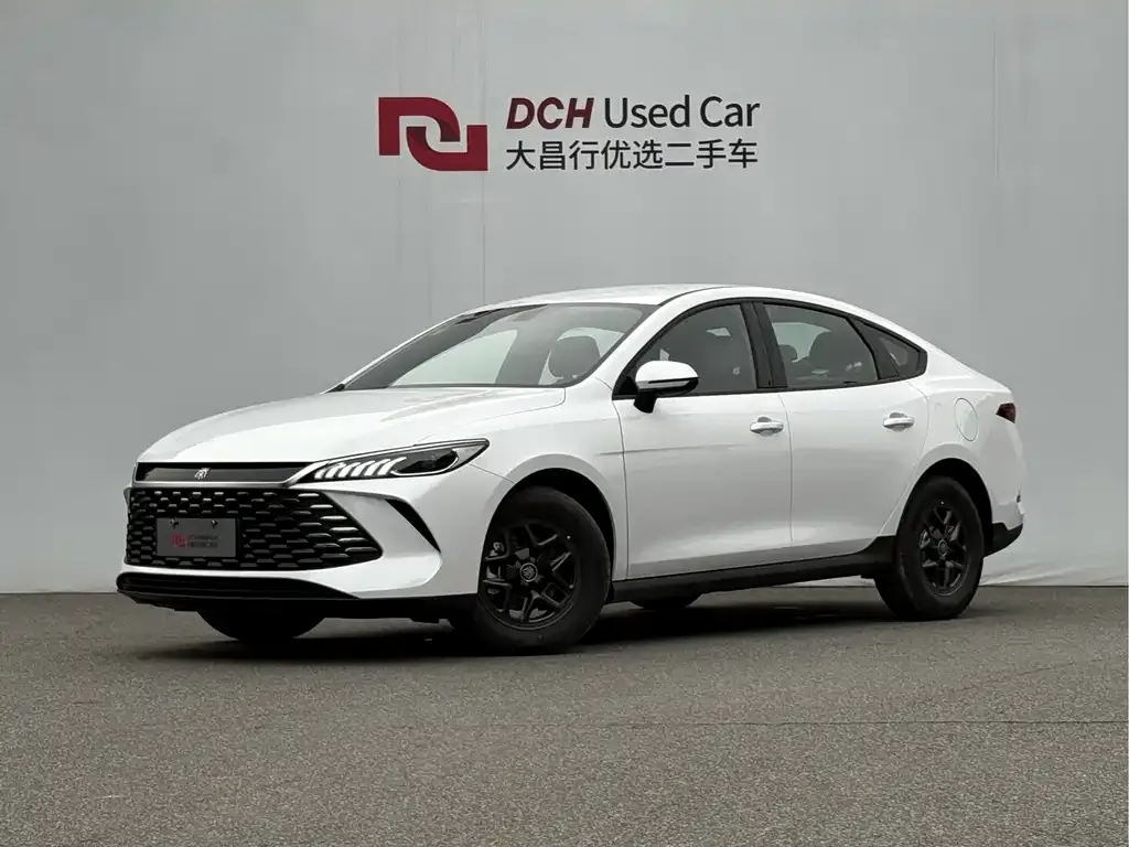 BYD Qin PLUS — фото 1