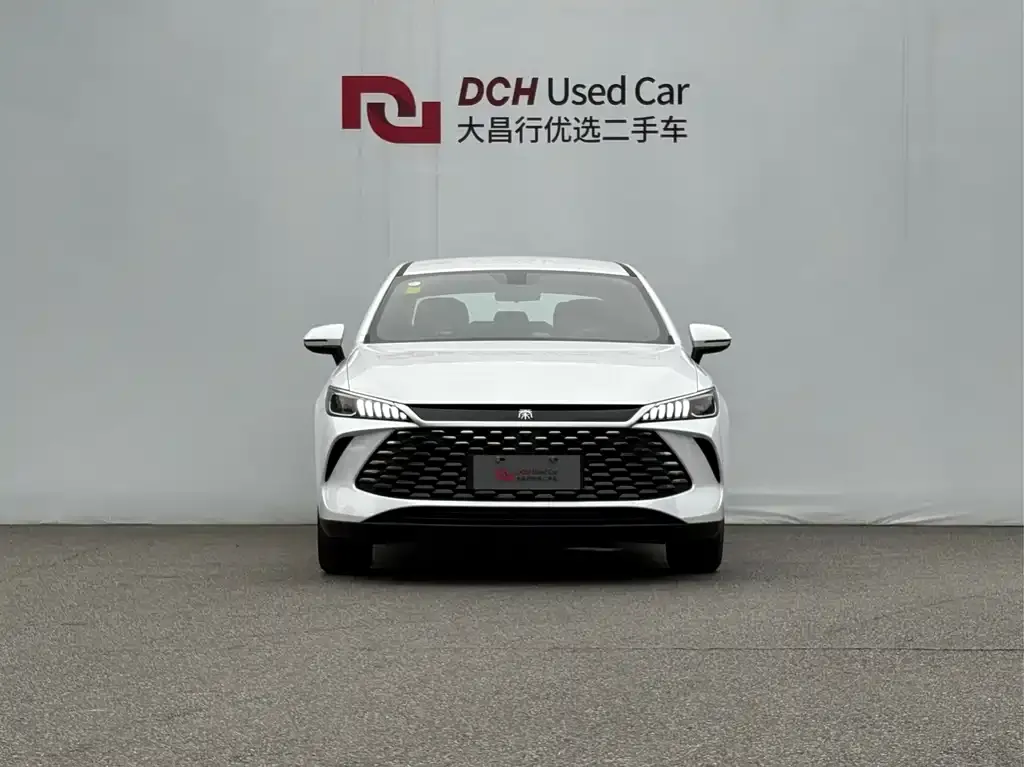 BYD Qin PLUS — фото 3