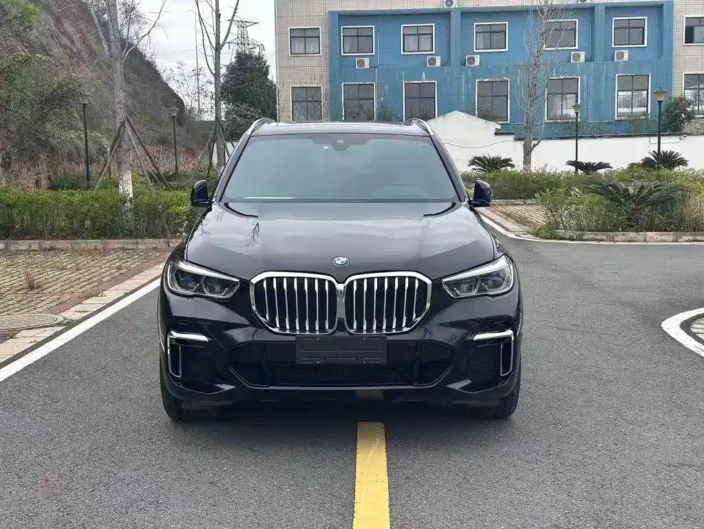 BMW X5 2022 из CN, фото 9