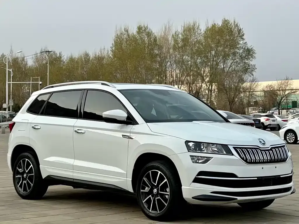 Skoda Karoq — фото 7