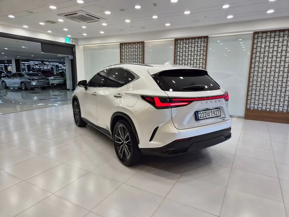 Lexus NX 2024 из KR, фото 10