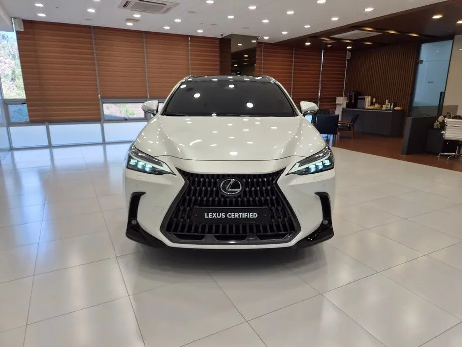 Lexus NX 2024 из KR, фото 4