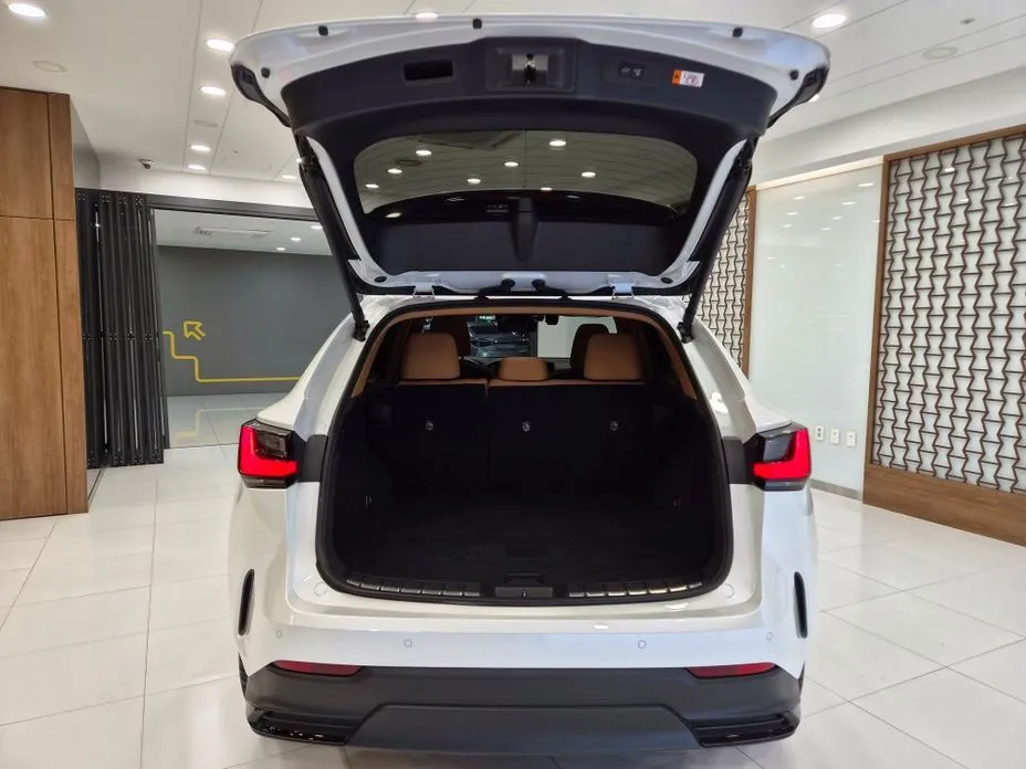 Lexus NX 2024 из KR, фото 8