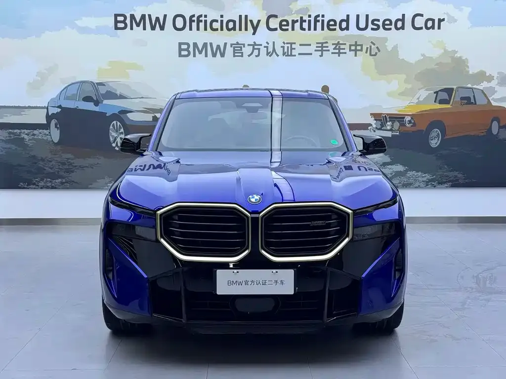 BMW XM 2023 из CN, фото 9