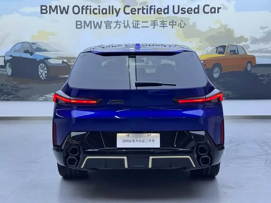 BMW XM 2023 из CN, фото 7