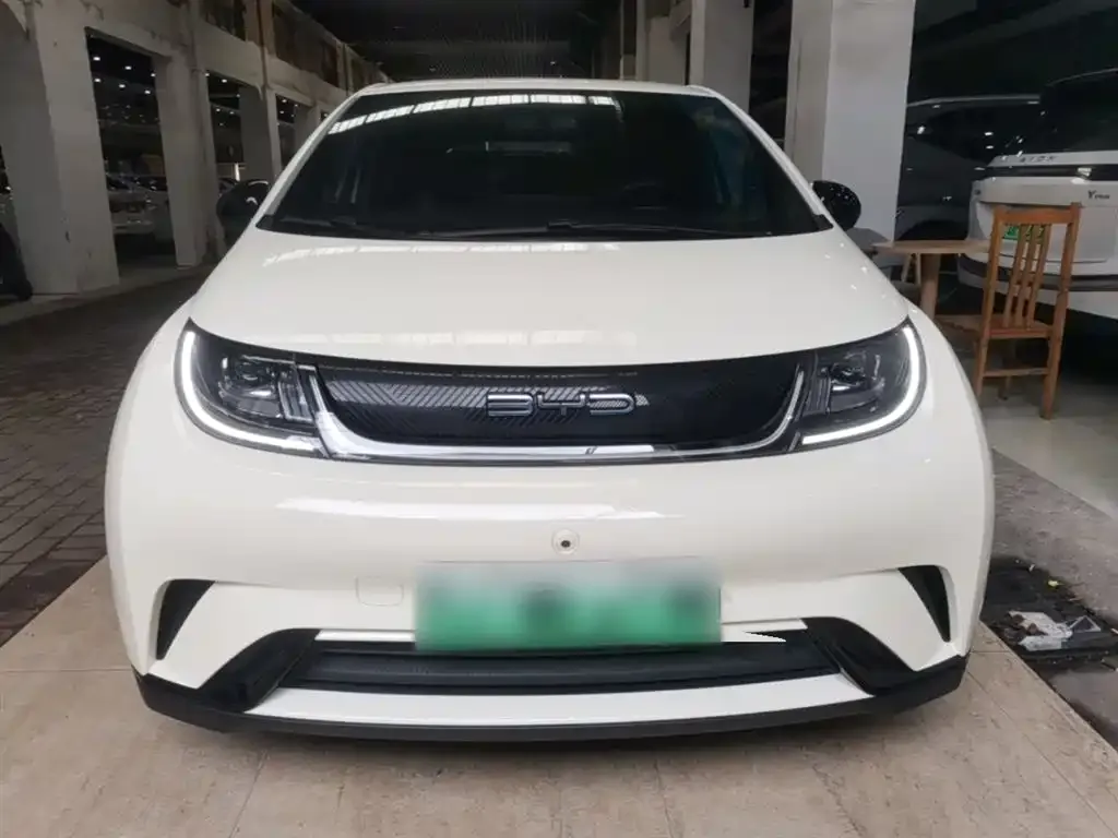 BYD Dolphin 2024 из CN, фото 4
