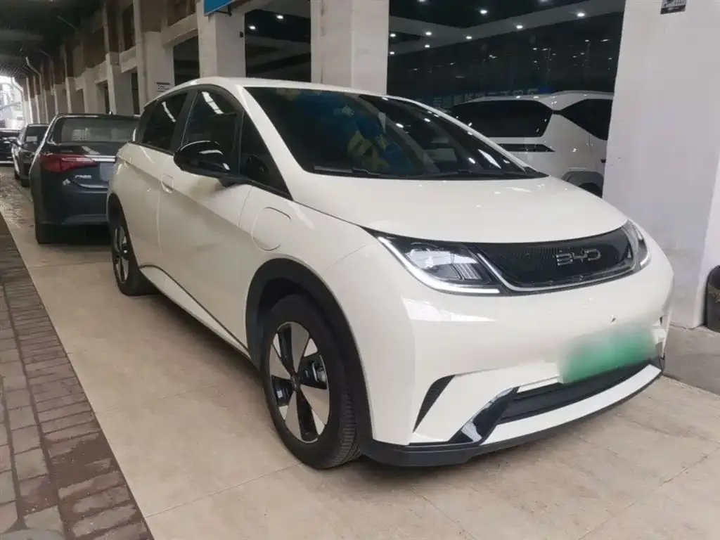 BYD Dolphin 2024 из CN, фото 8