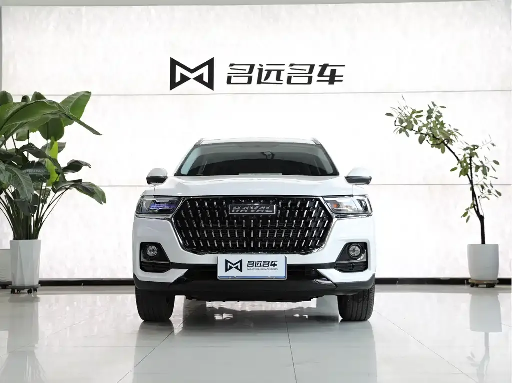 Haval H6 — фото 9