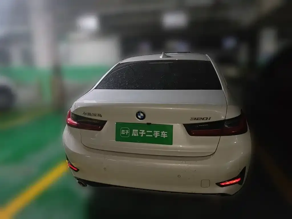 BMW 3 Series 2021 из CN, фото 10