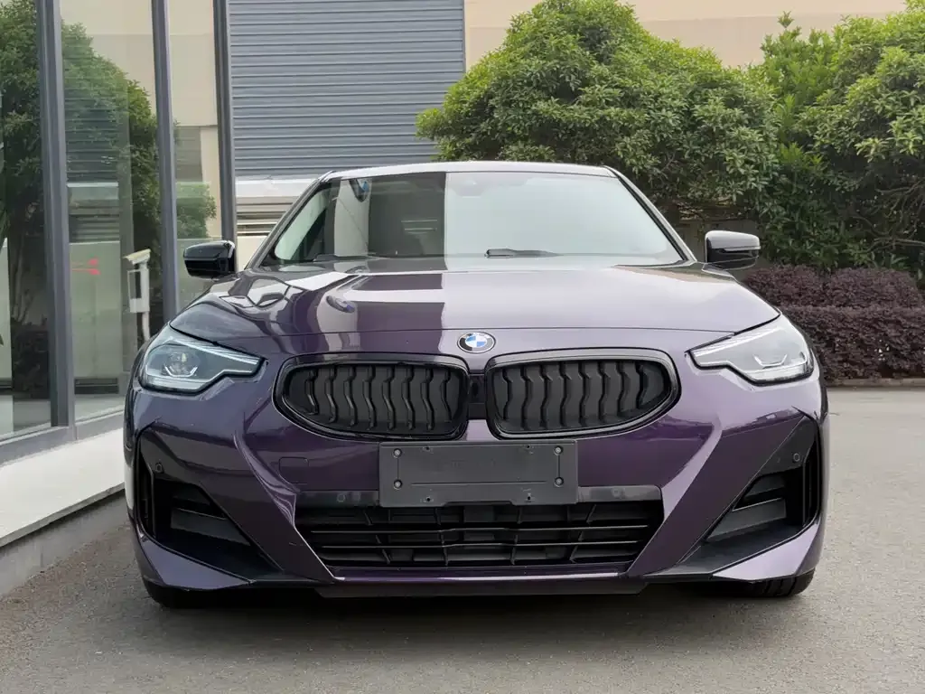 BMW 2 Series (Import) 2022 из CN, фото 5