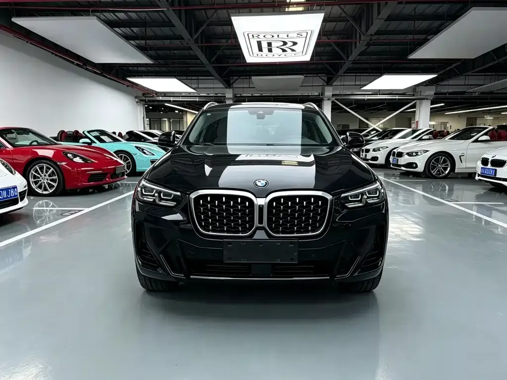 BMW X4 2022 из CN, фото 6