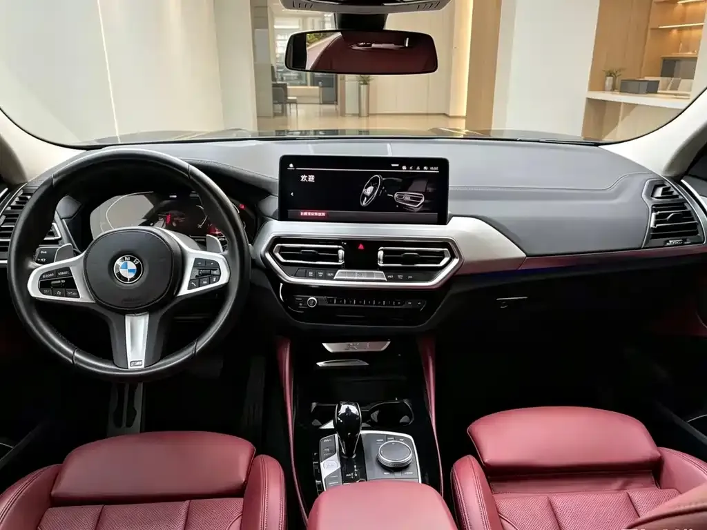 BMW X4 2022 из CN, фото 8