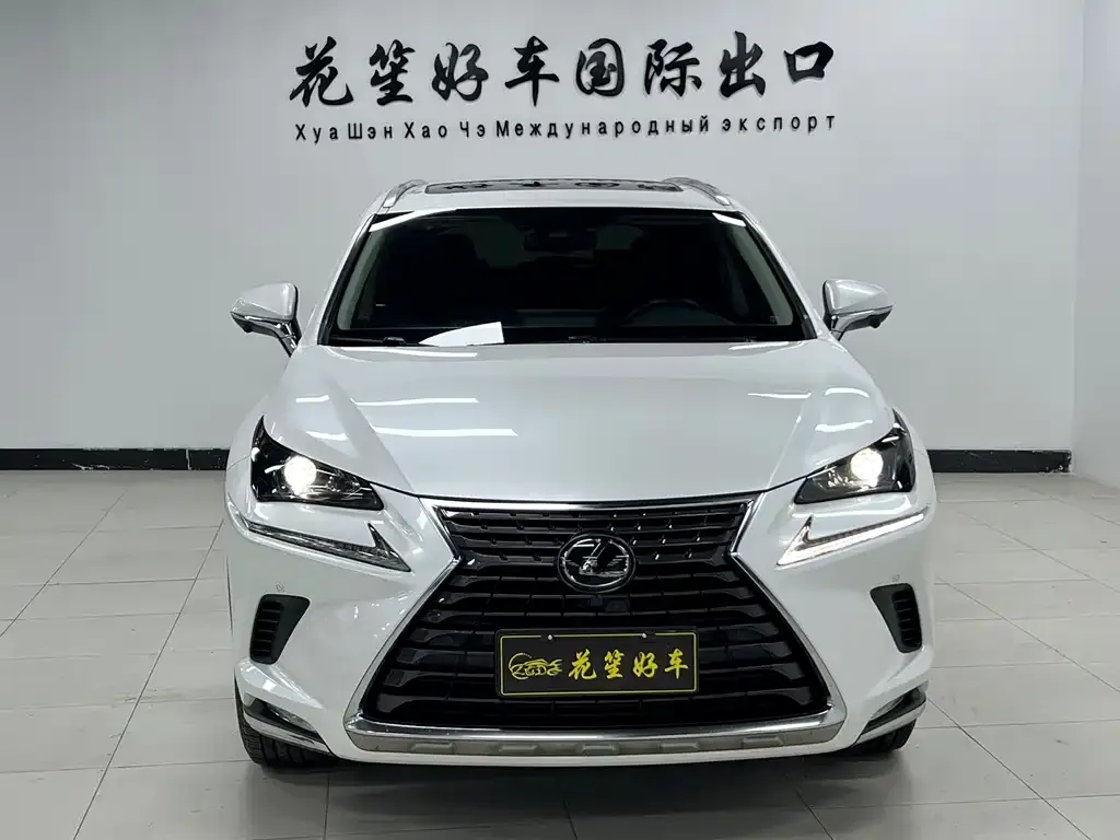 Lexus NX 2021 из CN, фото 10